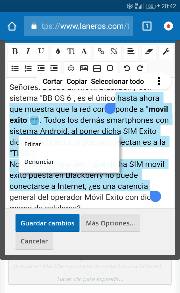Chrome_screenshot_error_editar_laneros.png