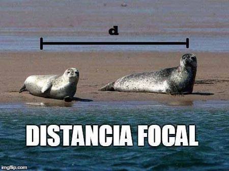 distancia_focal.jpg