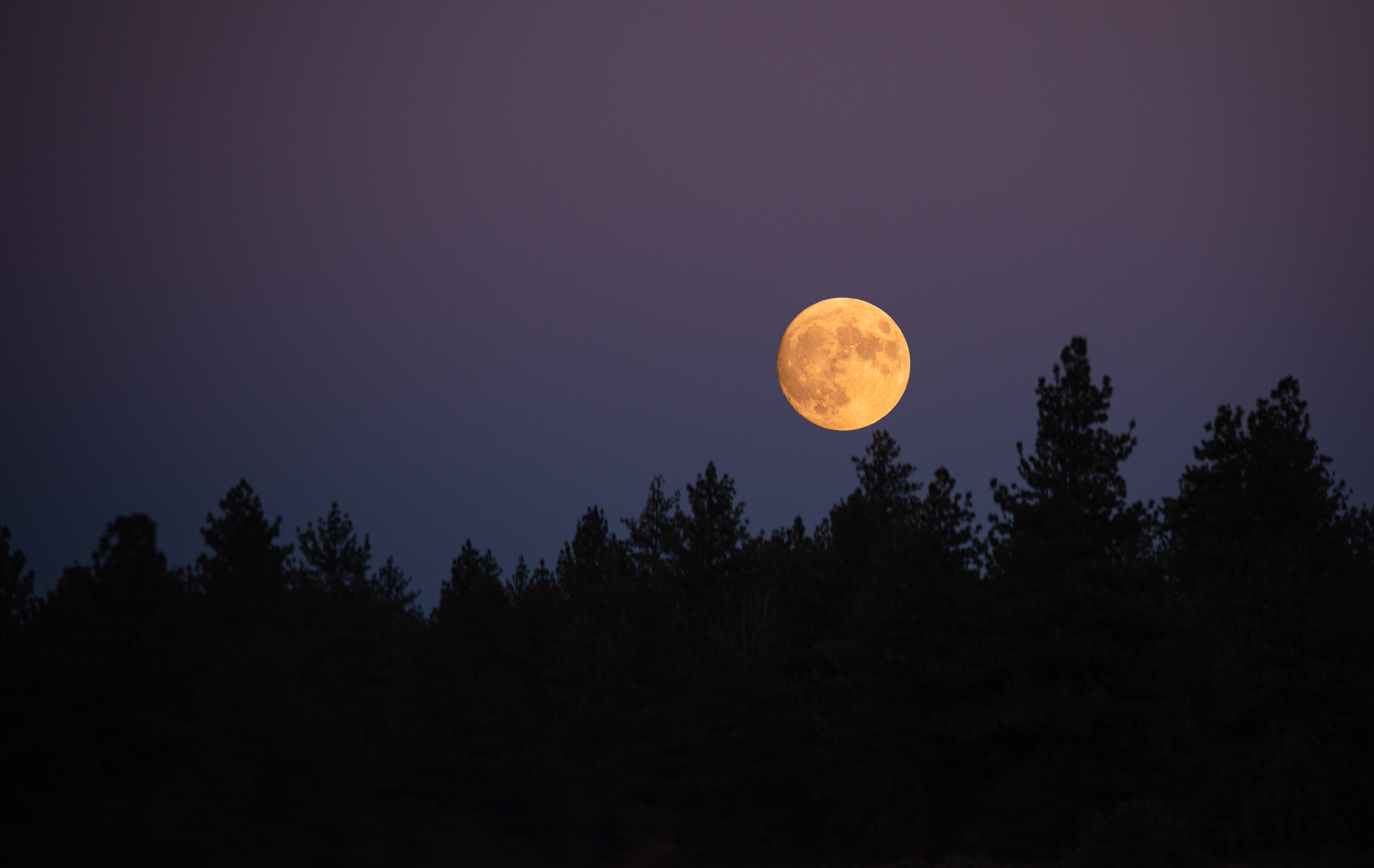 DSC_4290 - Yosemite Moon.jpg