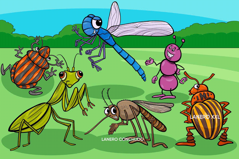 INSECTOS.png
