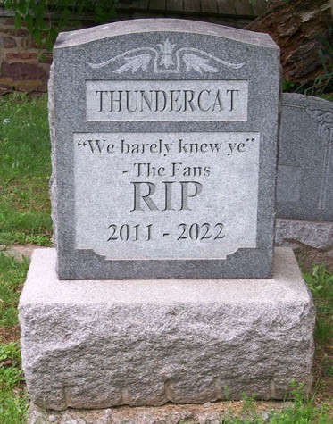 RIP-Thundercat.jpg