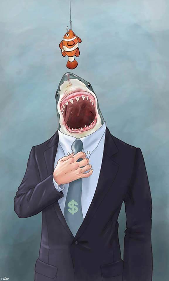 tiburones-politicos.jpg