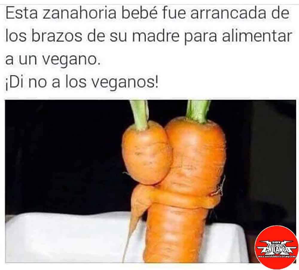 veganos.jpg